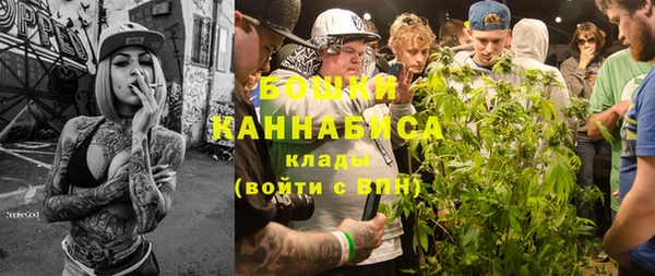 гидра Киренск