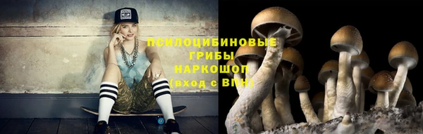 гидра Киренск