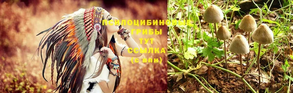спайс Кинешма