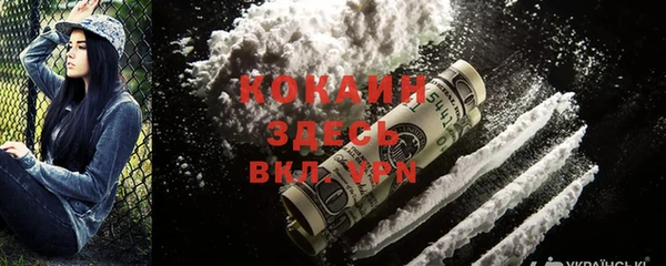 гидра Киренск